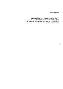 VAF 1993 Bernard Formation transversale infographie multimedia Masi